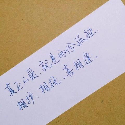 禅语静心的句子（关于静心的长句）