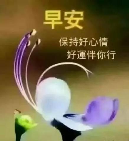 早安暖心话短句（最唯美走心的早安说说寄语）