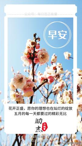 早安5～10字精美句子（温暖人心的早安唯美祝福语）