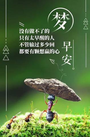 积极向上早安正能量的句子（早晨积极正能量警句）