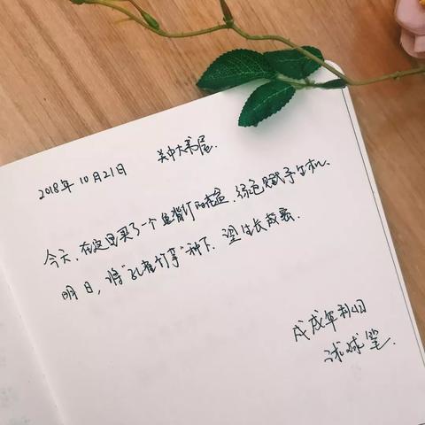 朋友最好的告别经典句子简单（告别一段感情的文案长句）