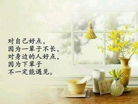 元气满满的文案（元气满满的励志句子语录）