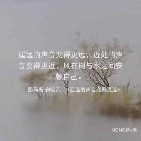 冷门小众却惊艳的句子（惊艳的金句）