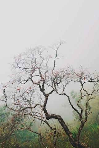 关于秋天的温暖句子（关于描写秋天的优美文案）