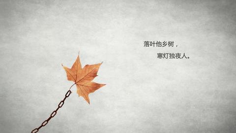 孤独的文案（孤独的话语）