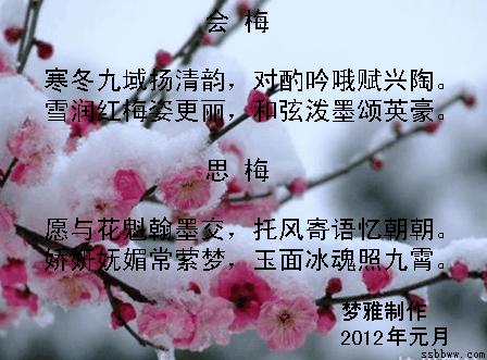 描写梅花动态的句子（描写梅花的优美金句）