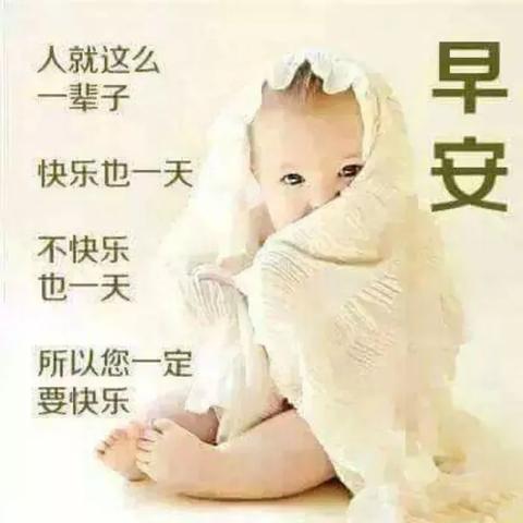 说早安的唯美句子（早安说说大全）