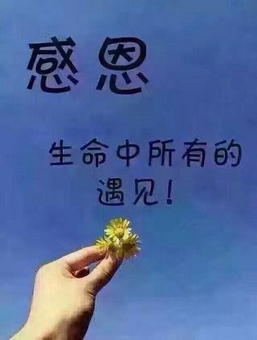 说早安的唯美句子（早安说说大全）