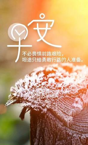 阳光治愈人心的句子（励志阳光简短话语）