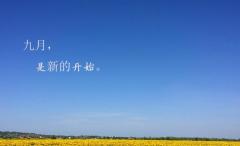 微信置顶文案句子高级（干净简短的微信置顶赠言）