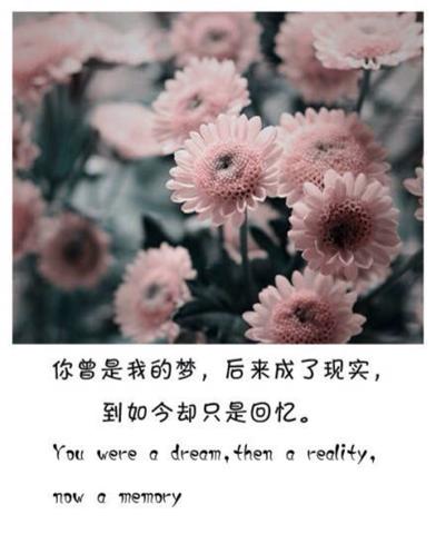 简短却满是深意的文案（简短有深意的秋天短语）