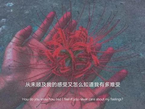 语文园地写六个情绪的句子（简短的情绪文案短文）