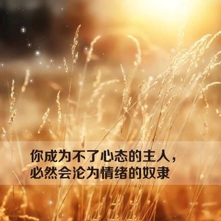 高情商对工作失望的句子（心情美美哒高情商摘抄）