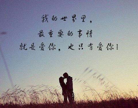 文案短句表白（表白情书大全100字优美）