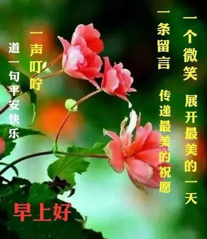 充满正能量的早安短句（早安幽默爆笑金句）