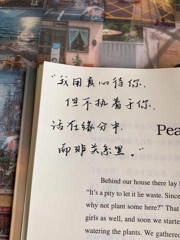 感情遗憾的唯美句子（终有遗憾的短句）