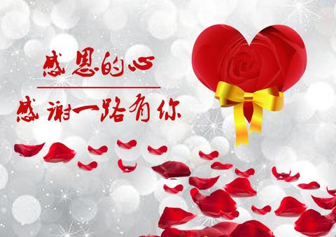 我懂得了感恩700字作文免费（我懂得了坚持精选）