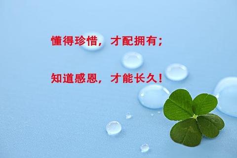 我懂得了感恩700字作文免费（我懂得了坚持精选）