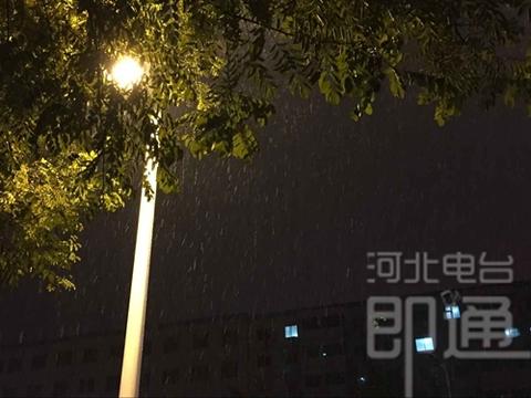 夜空中最亮的星中考满分作文（夜空中最亮的星优秀）