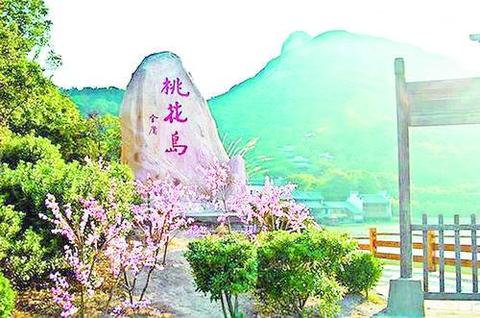 江西桃花岛游记作文700字（我的家乡邳州桃花岛优秀）