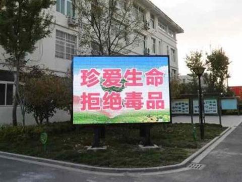 责任感作文（生活需要责任精选）
