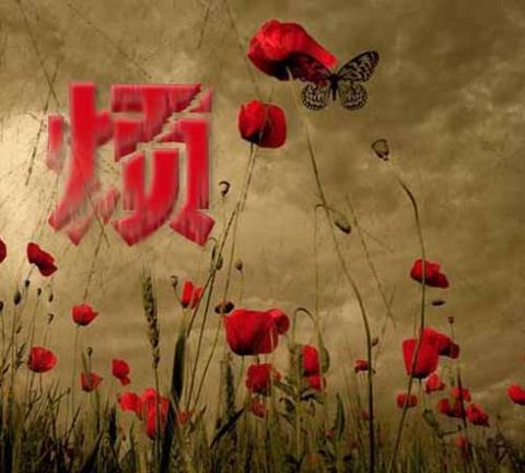 责任感作文（生活需要责任精选）