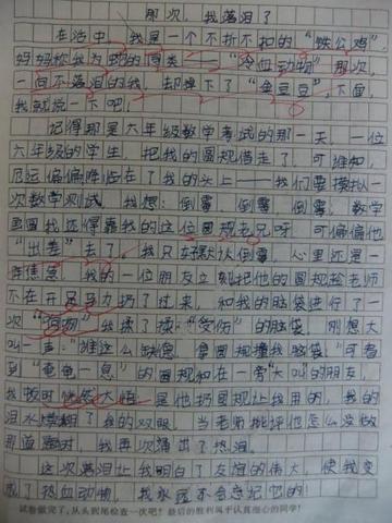 我这个人一篇作文（我这个人啊怎么写优秀）