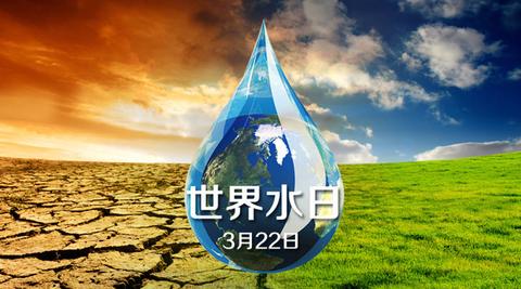 一滴水的旅行作文800字（一滴水的旅行精选）