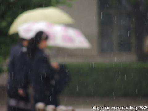 雨趣量词作文（校园雨景精选）