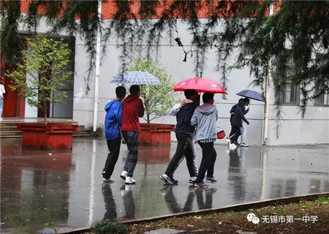 雨趣量词作文（校园雨景精选）