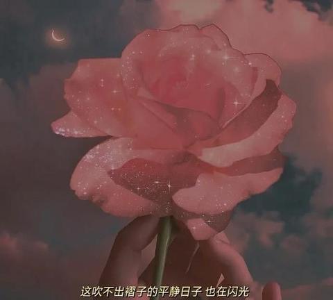 浪漫高级小众惊艳干净的文案（小众冷淡佳句）