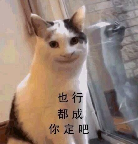 文案句子温柔干净友谊（关于友情的搞笑说说）