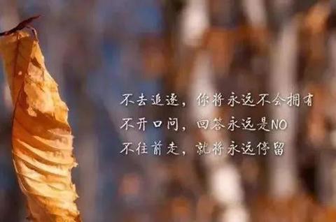 成熟干净的句子（变成熟懂事的文案短句精辟）