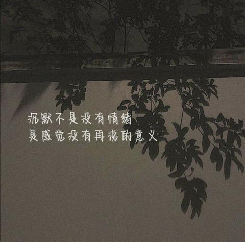 晚上伤感文案短句（1000句简短伤感金句）