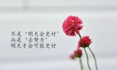 生活感悟的心情句子（适合各种心情的简单短句短文）