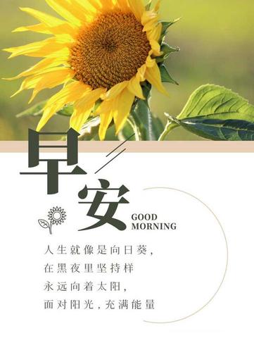 早安让人看了舒服的句子（早安让人看了舒服的好句）
