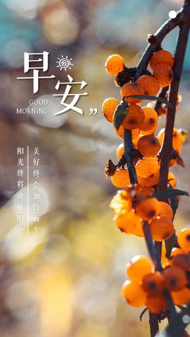 适合发朋友圈的早安语句（高质量早安文案寄语）
