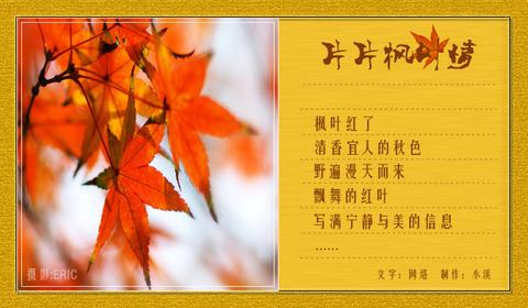描写秋天枫叶的优美句子（看枫叶发朋友圈的短句优美）