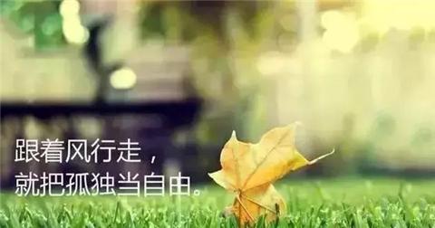 关于人生不止眼前的哲理句子（人生感悟的经典语录短句摘抄）