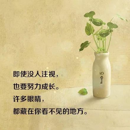 正能量简短治愈句子（人生感悟正能量的书摘）