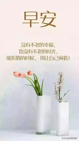 早安暖心话短句文案（可爱调皮幽默的早安句子赠言）