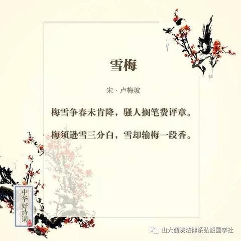 描写冬天梅花的诗句古诗大全（描写梅花的句子超优美说说）