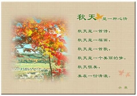 把心留在秋天的句子说说（秋天高级文案短句撩人优美）