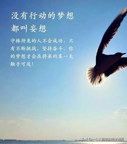 那些励志的句子（励志摘抄短语）