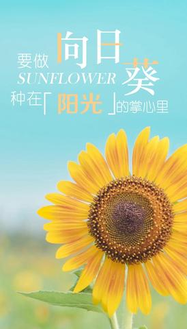 适合发朋友圈的早安语句（特别暖心的早安句子短语）