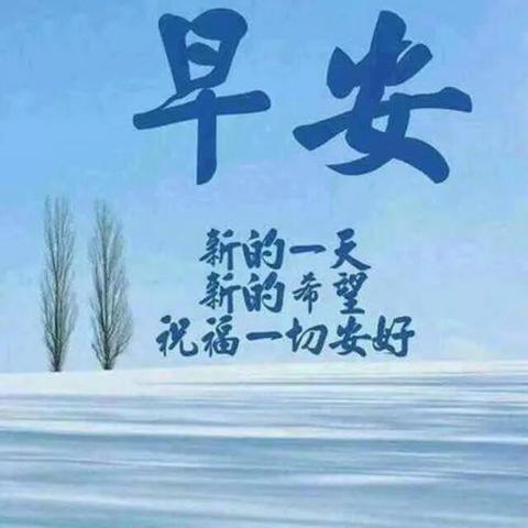 早安独一无二的霸气句子（精致走心的早安心语问候语）