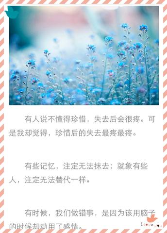 简短温柔的句子（很治愈很温柔的书摘）