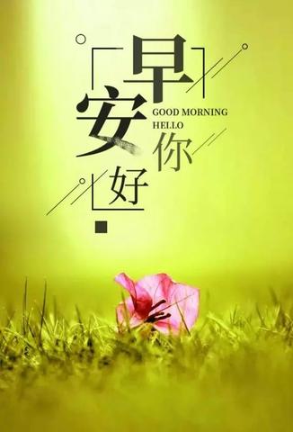 早安朋友圈文案（早安励志正能量优美）