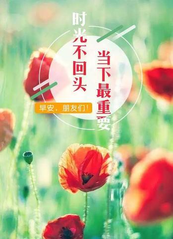 早安朋友圈文案（早安励志正能量优美）