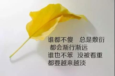 有深意的哲理句子（富有深刻哲理的摘抄书摘）